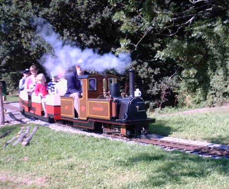 Merlin Ambrosius Loco | Bentley Miniature Railway